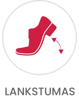 Lankstumas